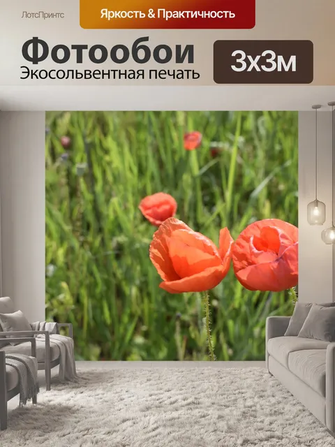 Фотообои Маки