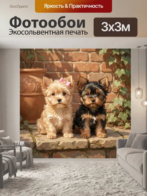 Фотообои Два йоркширских терьера у стены