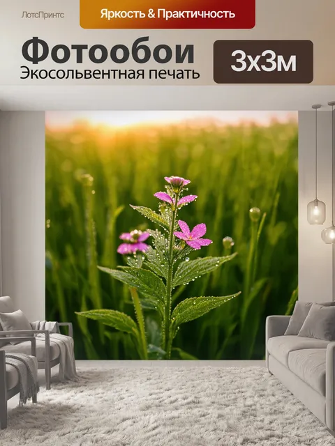 Фотообои вереск, освещённый ранним утренним солнцем, капли роса сверкают на лепестках, на фоне зелёных полей