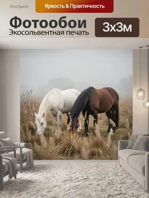 Фотообои Две лошади в туманном поле