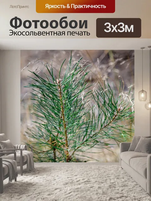 Фотообои Сосна в лесу