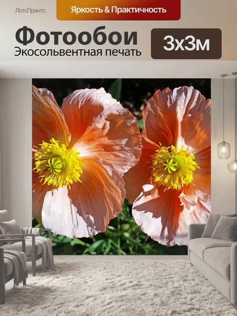 Фотообои Маки