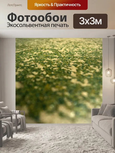 Фотообои мох