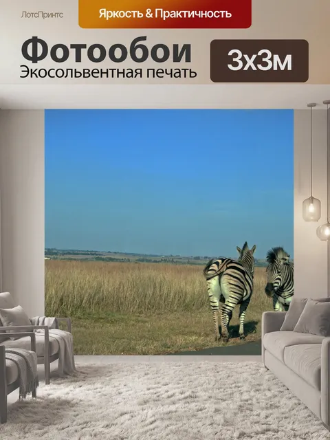 Фотообои Две зебры, обращенные в противоположном