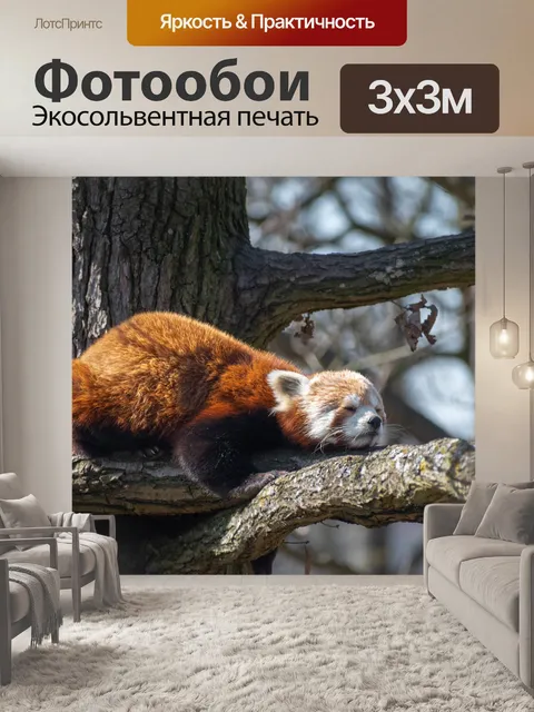 Фотообои Панда красный