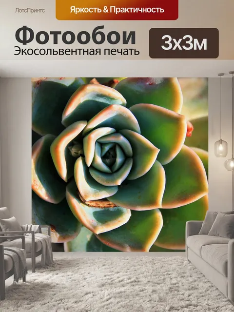 Фотообои сочные розы