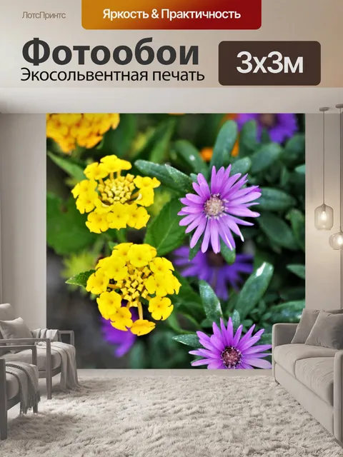 Фотообои Астры и Лантана Крупный план 2