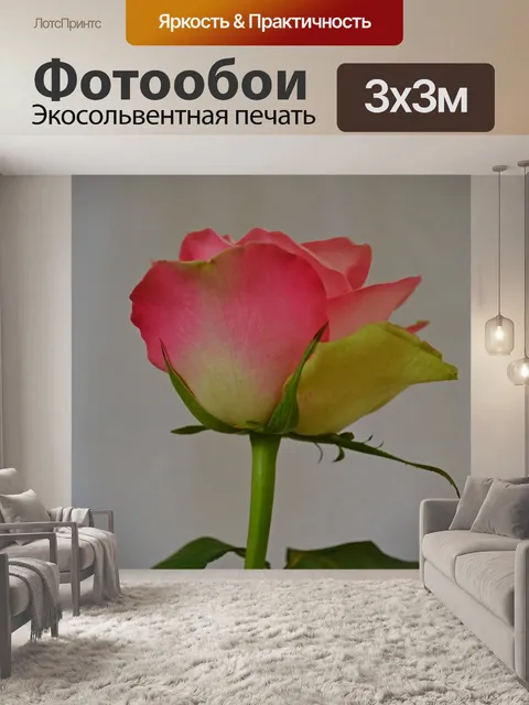 Фотообои Цветы