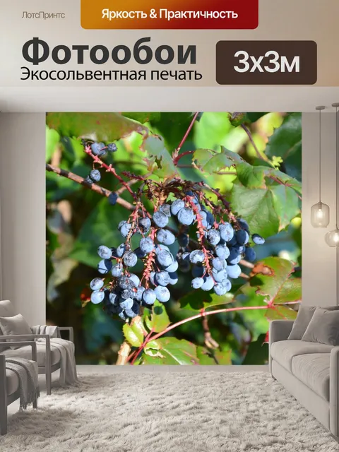 Фотообои Ягоды