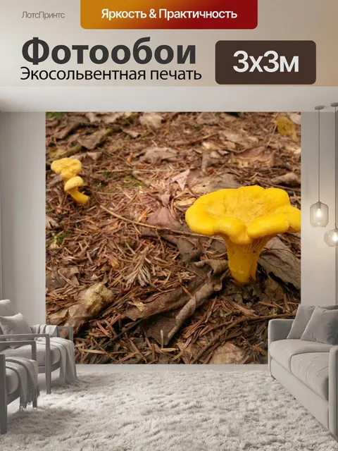 Фотообои Желтый гриб