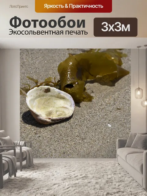 Фотообои Half Shell Water