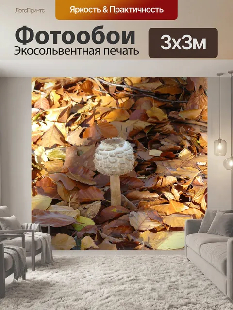 Фотообои Гриб