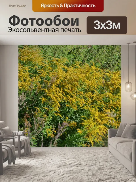 Фотообои Пейзаж Природа