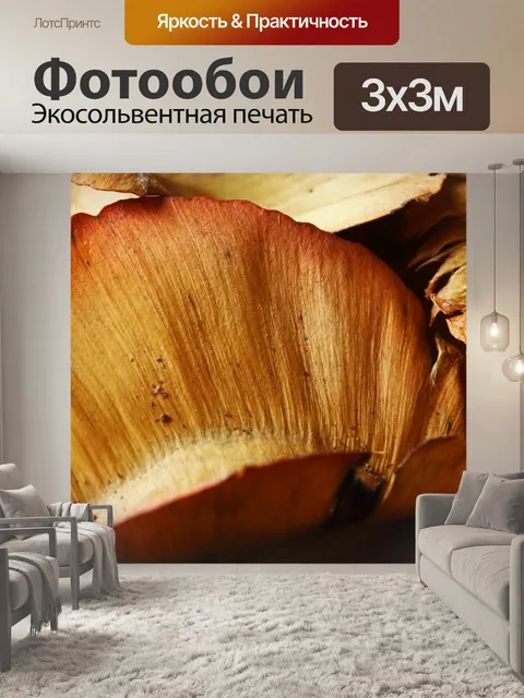 Фотообои крыло сухого семенного коробочка гребенщ