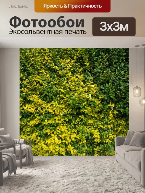 Фотообои Природные Забор