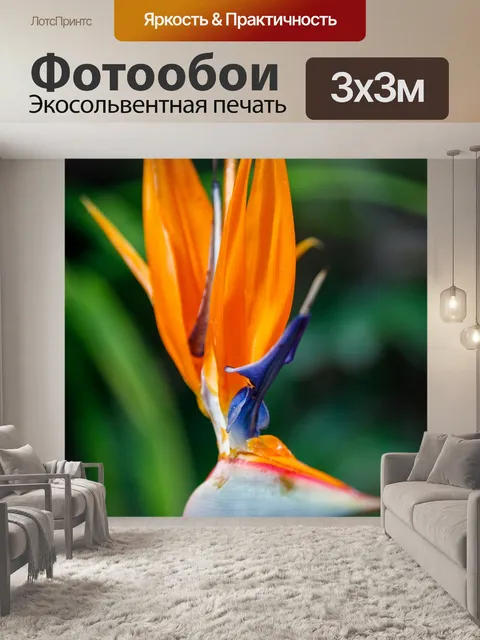 Фотообои Цветок райской птицы