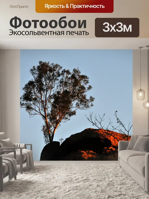 Фотообои Lone Tree на Red Rock