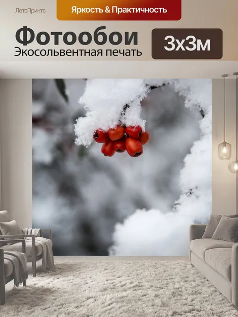 Фотообои Красные ягоды и Снежный филиал