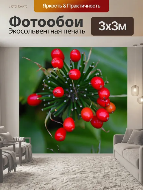 Фотообои Берри