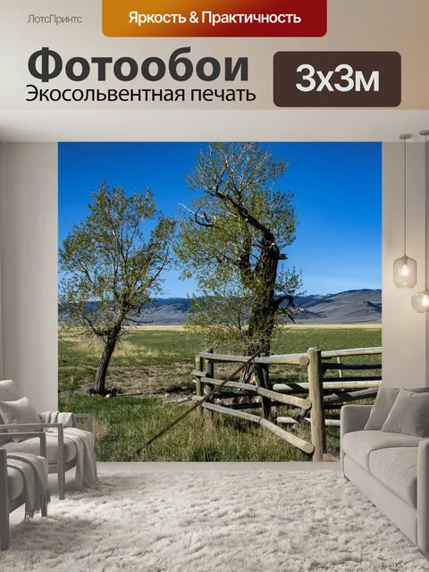 Фотообои Деревья