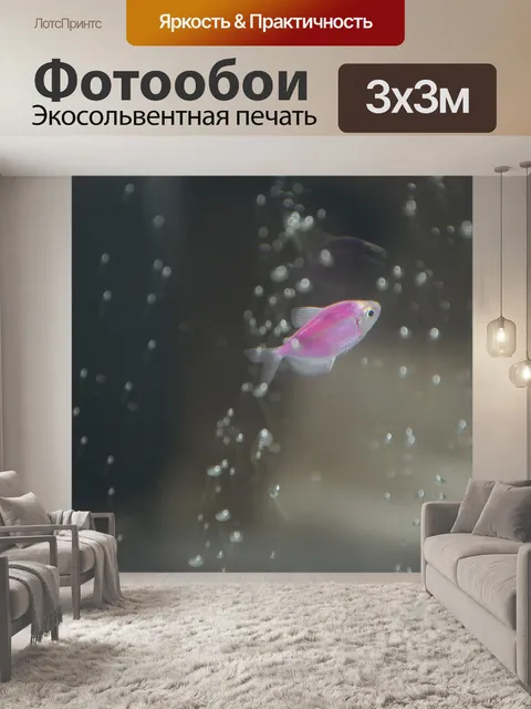 Фотообои Рыба