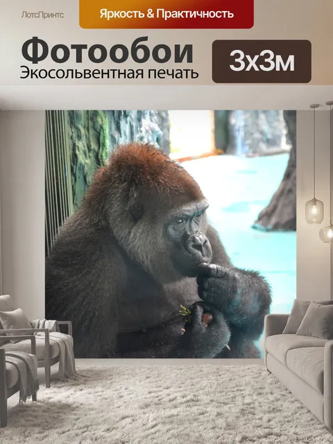 Фотообои Горилла