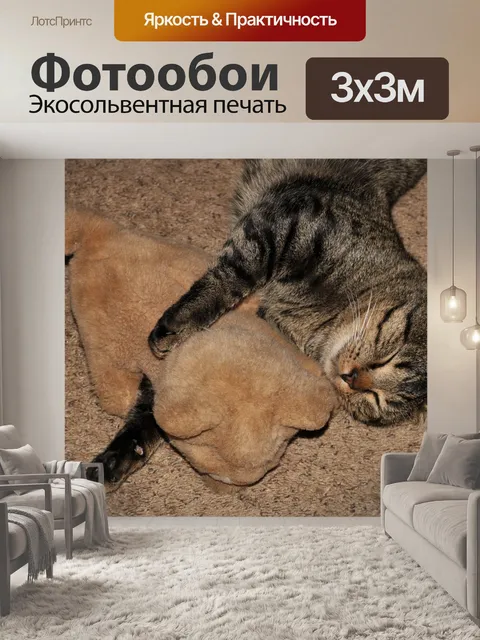 Фотообои Серебряный полосатый кот спит с игрушкой