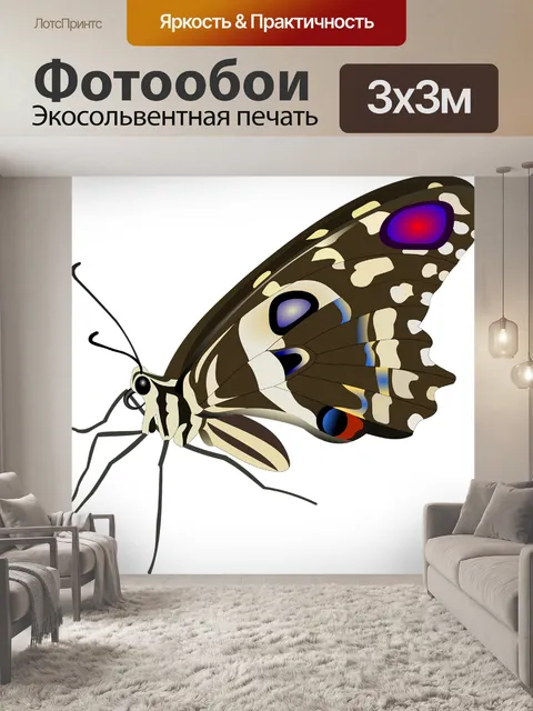 Фотообои Бабочка
