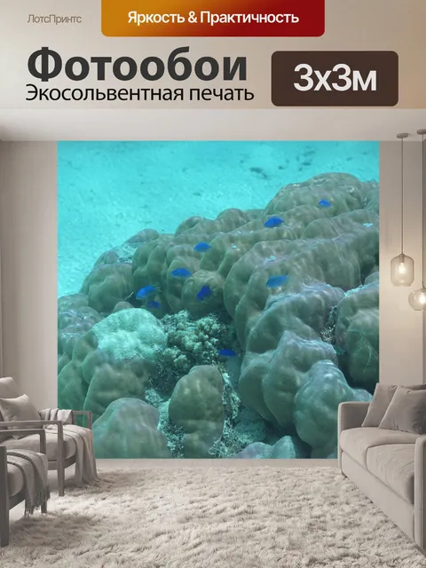 Фотообои Морской