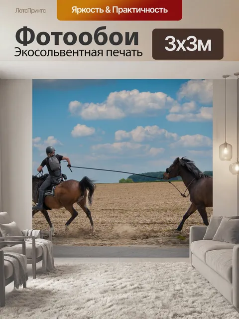 Фотообои Ковбой, всадник
