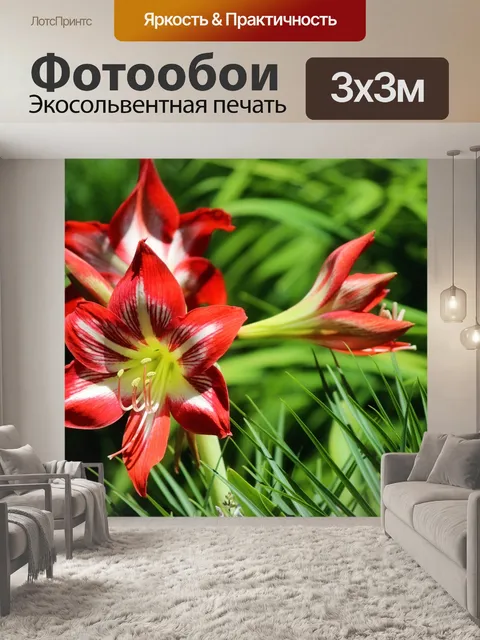 Фотообои Красные и Белые лилии