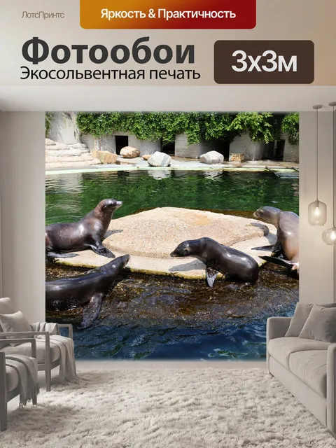 Фотообои Морские Львы 12 (серия 22)