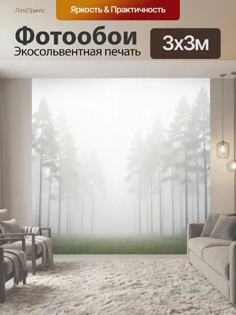 Фотообои Туманный сосновый лес