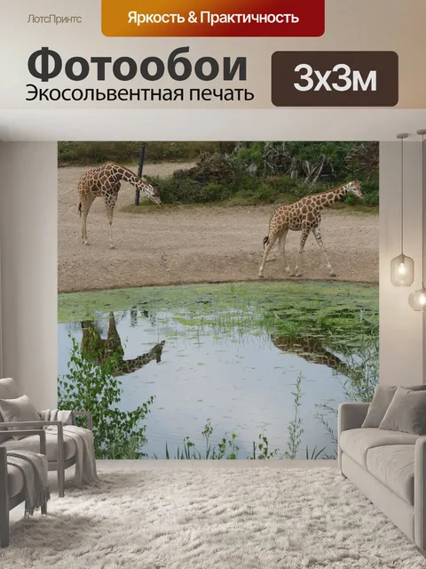 Фотообои Жирафа