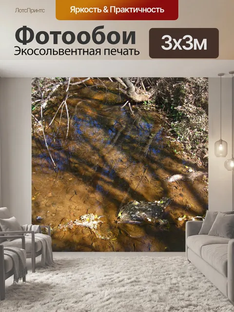 Фотообои отражение на поверхности ручья