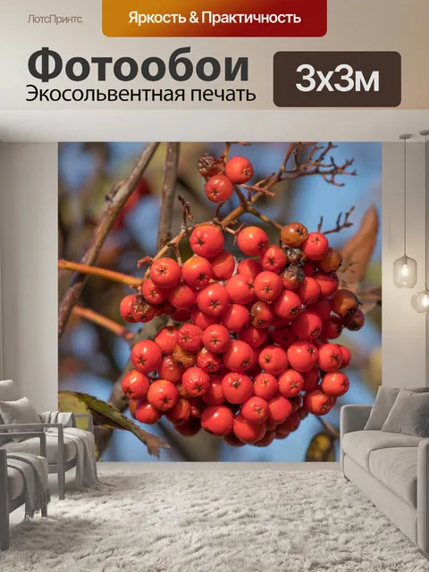 Фотообои Рябина