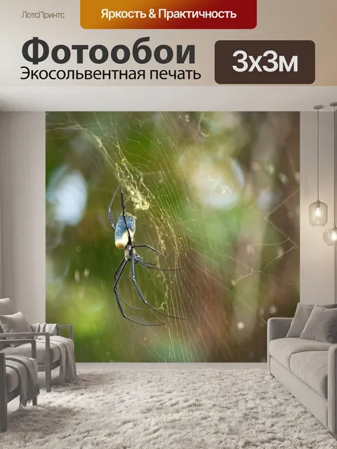 Фотообои Вид на паука-ткача с золотой сферой