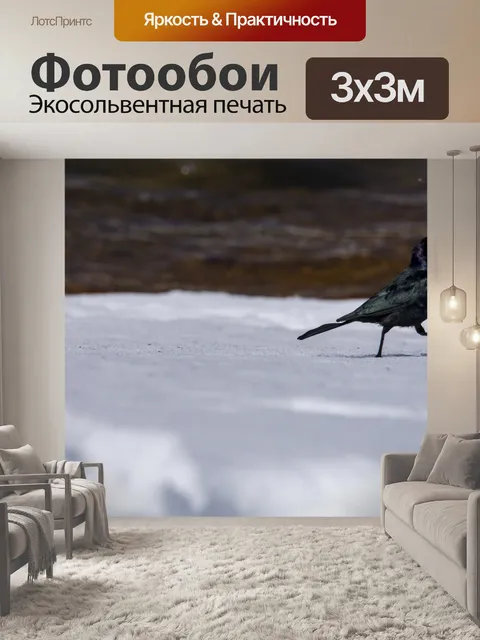 Фотообои черная птица в снегу