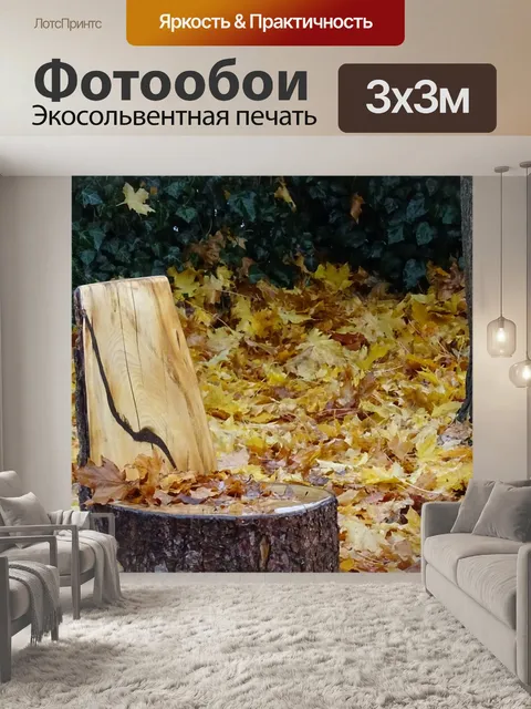 Фотообои Падение