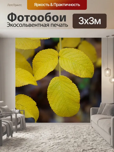Фотообои Осенний морщинистая