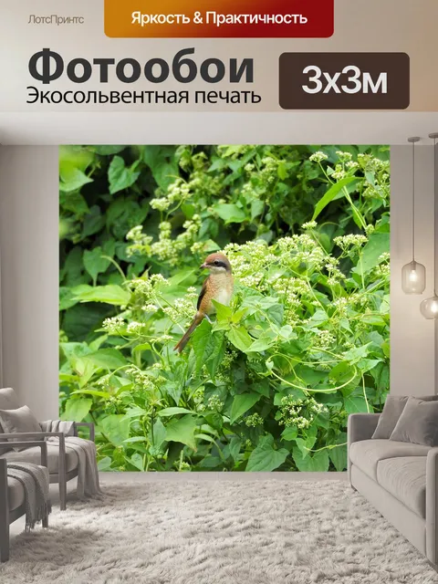 Фотообои Лист