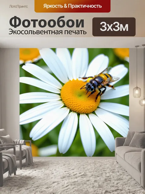 Фотообои пчела на ромашке
