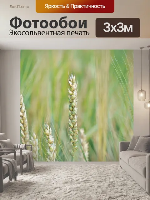 Фотообои Пшеница