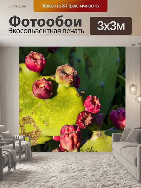 Фотообои кактус опунция