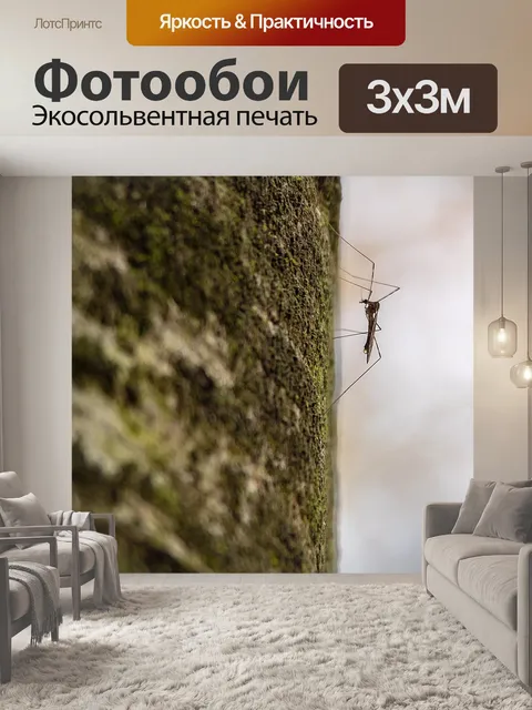 Фотообои Комар