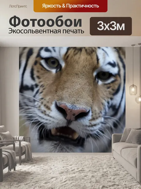 Фотообои Тигр