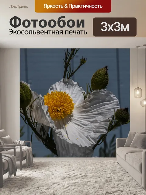 Фотообои Калифорнийское дерево мака