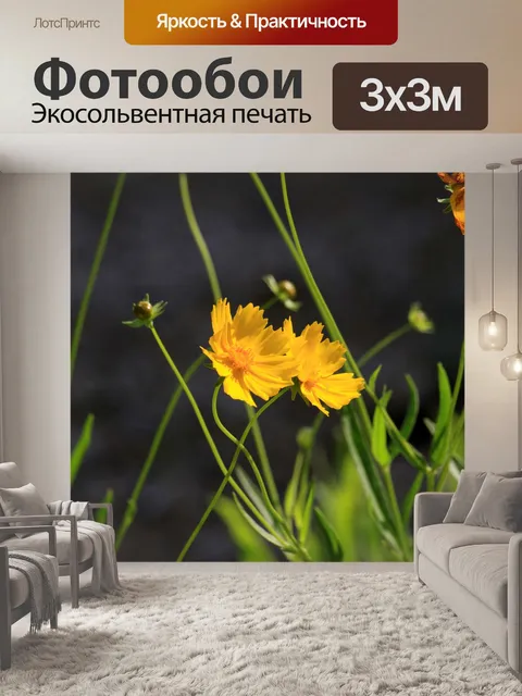Фотообои Рудбекия