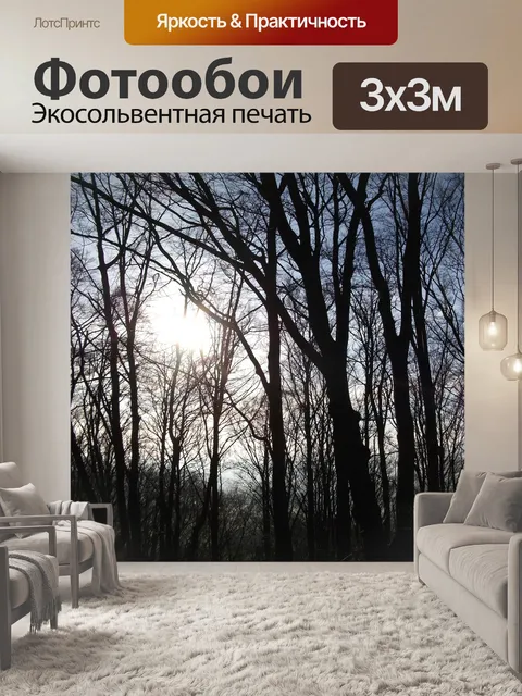 Фотообои Лес