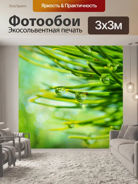 Фотообои зеленые ветки с каплями воды